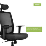 Load image into Gallery viewer, Lucent Highback Chair